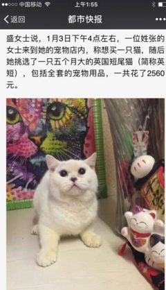 一纸协议与一段生命 宠物弃养背后的责任缺失与消费反思