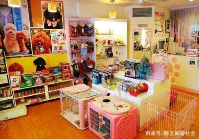 为您揭开最近几年比较热门生意背后的行业秘密