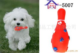 厦门安芬宠物用品工贸 创新宠物玩具与高品质宠物用品全览