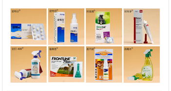 高效提升宠物用品销量的关联销售策略与设计素材应用指南