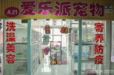 爱乐派宠物生活馆 专业猫洗澡体验与糯米宠物用品销售指南
