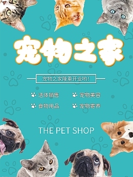 宠物用品销售中的食物分解模板在线制作 创新工具助力营销增长