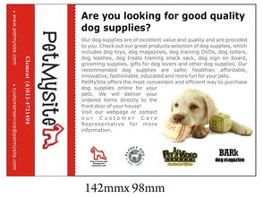 DIY敏捷栏跳跃训练 为迷你雪纳瑞打造专属运动乐趣与宠物护理指南