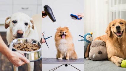 拿捏爱宠心理 “毛孩子”成品牌营销最大赢家？