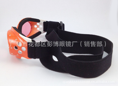 聚焦专业制造 彭博眼镜厂引领宠物时尚与防护新潮流